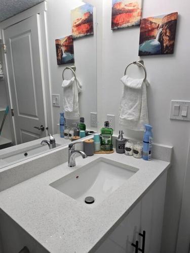Cozy New 1 bed basement suite Room Type - One-Bedroom House