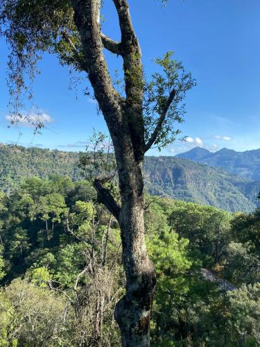 Parque Natural Barranca de los Jilgueros in Zacatlán, Mexico