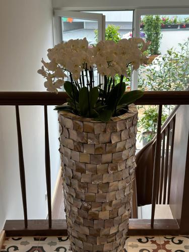 Gästehaus LINH (Gastehaus LINH) in 埃登科本