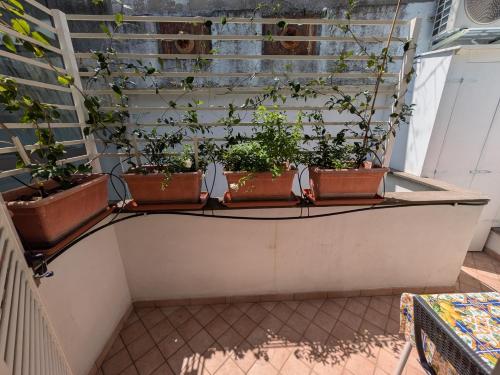 Roma Olimpico pied à terre - casa vacanza, Rom (Foto 6)
