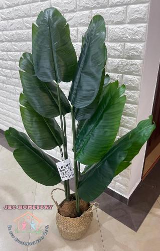 JRC Homestay-S3514 Setia Indah JRC Homestay-S3514 Setia Indah