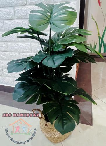 JRC Homestay-S3514 Setia Indah JRC Homestay-S3514 Setia Indah