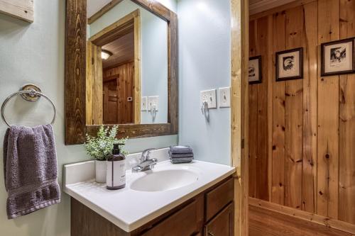 Bearly Rustic Cozy Smoky Mountain Cabin with Hot Tub & Free Tickets-Fire-Pit detail