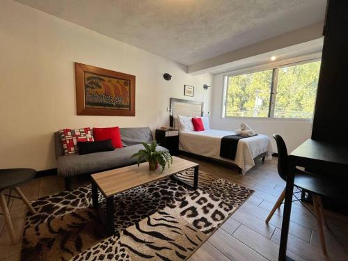 DStja - 2 studios next to each other in Zone 15