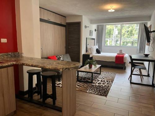 DStja - 2 studios next to each other in Zone 15