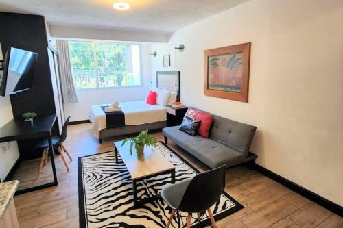 DStjb - 2 studios together zone 15 in Zone 15