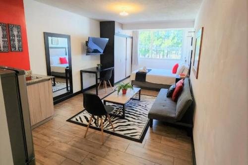 DStjb - 2 studios together zone 15 in Zone 15