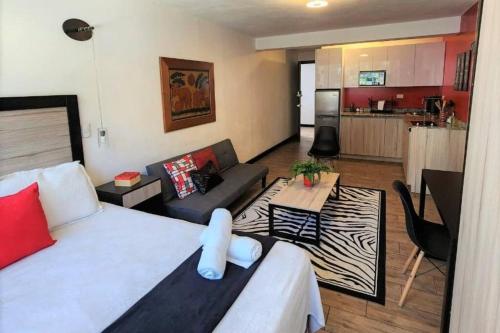 DStjb - 2 studios together zone 15 in Zone 15