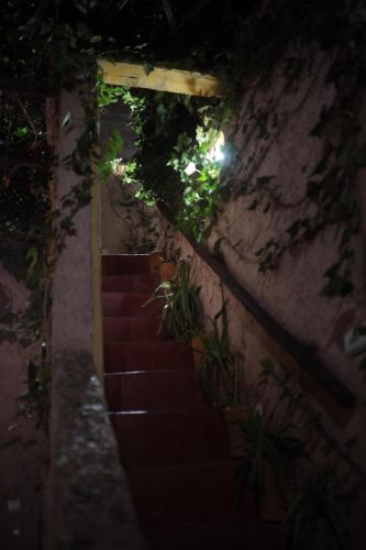 Traditional house, Marrakesz