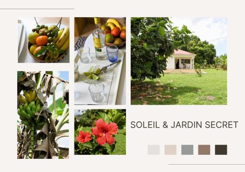 Soleil & Jardin Secret, Baie-Mahault (foto 10)