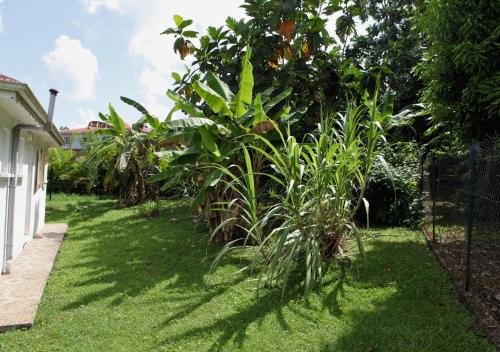 Soleil & Jardin Secret, Baie-Mahault (foto 9)