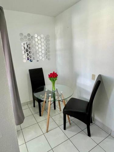 Departamento Céntrico in Villa Doctor Mora, Mexico