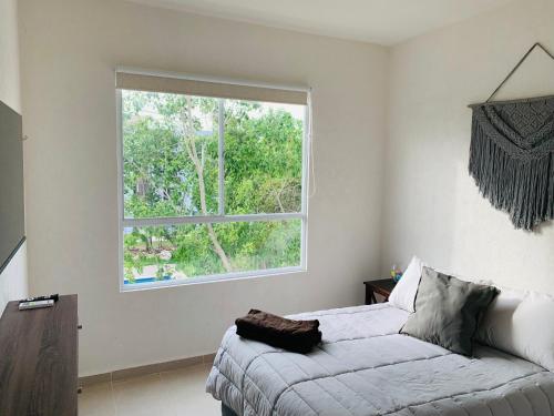 Franks House Collection Corifa in Playa del Carmen, Mexico
