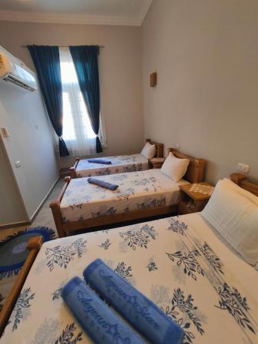 Champollion Palace - image 5