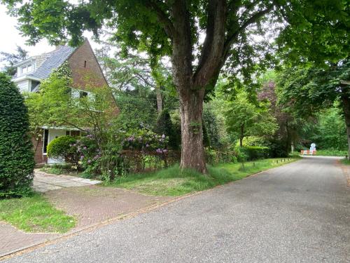 Exterior view, Studio Bergen in Bergen