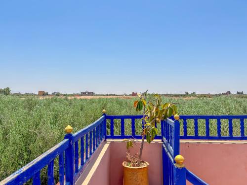 LE BLEU HOUSE LE BLEU HOUSE