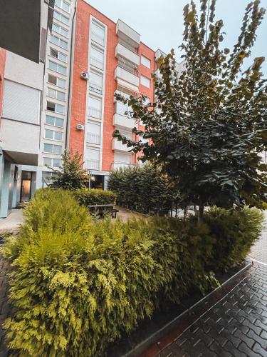 Экстерьер, Cozy Apartment in Gjilan in Гнилане