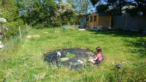 Tiny House Glamping, sleeps up to 6 Tiny House Glamping, sleeps up to 6