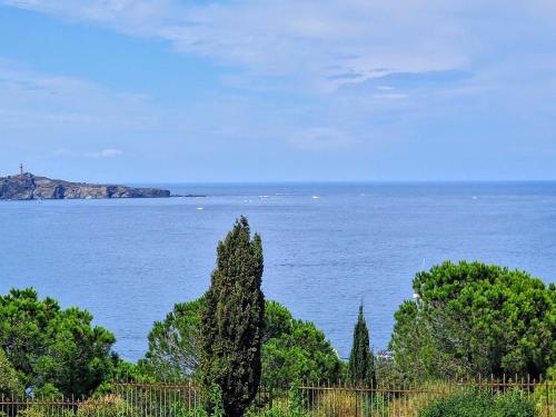Charmant studio avec terrasse et parking à Banyuls-sur-Mer - FR-1-309-90