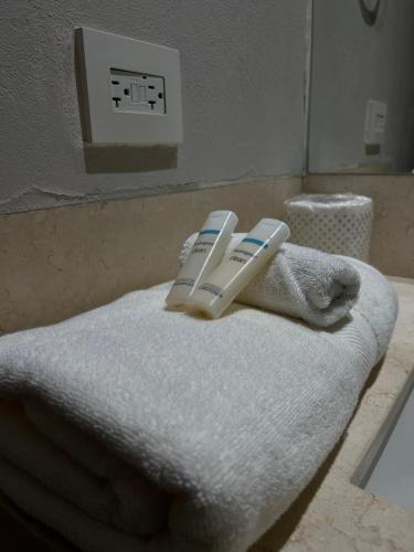 Miyana Departamento 3 Bedroom in Mexico City, Mexico