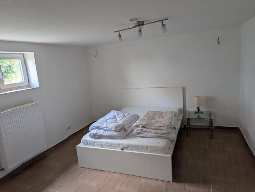 Messewohnung in traumhafter Lage, Hannover (fotografie 4)