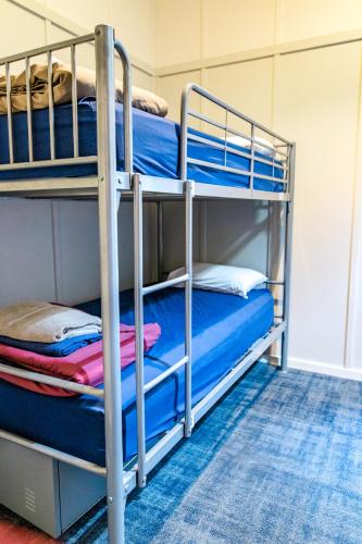 The Cambridge Hotel & Backpackers Room Type - Single Bed in 6-Bed Dormitory Room