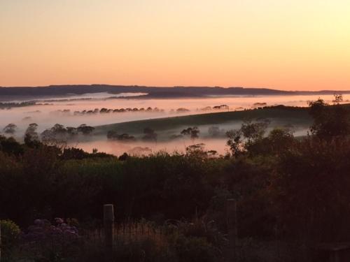 Pear Tree Hollow in Torrens Vale