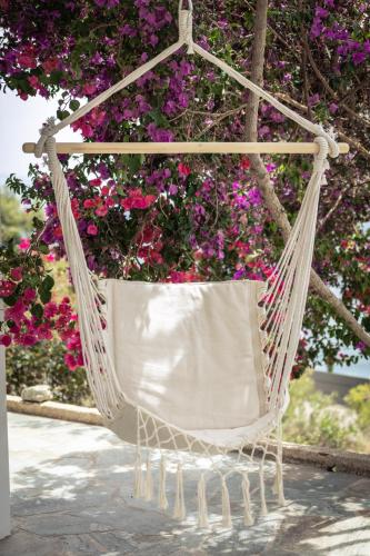 Strava Park Apartment