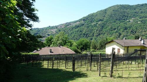 Bližnja okolica, BBPrimavera in Croglio