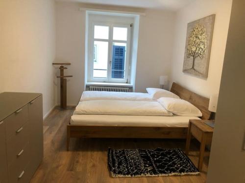 Fantastic 2BR flat close to Paradeplatz - Canal2, Curych (fotografie 5)
