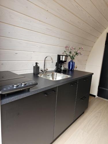 Tiny House De Skierroek in Westergeest