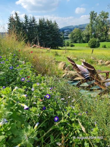 Camping im Igluzelt im Privatgarten mit warmer Lutzmatratze und Komfort Schluchtern Main-Kinzig in Schluchtern