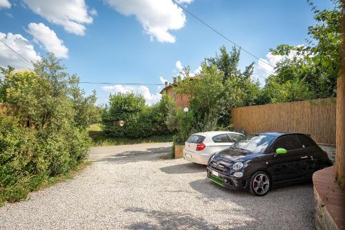 Fontarcella, Heart & Roots