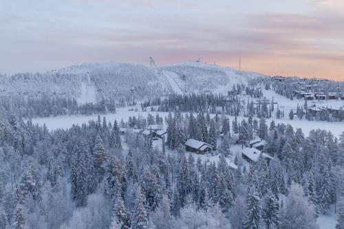 Bear Cub - Ruka Slopes, ski, hiking, Kuusamo (foto 6)