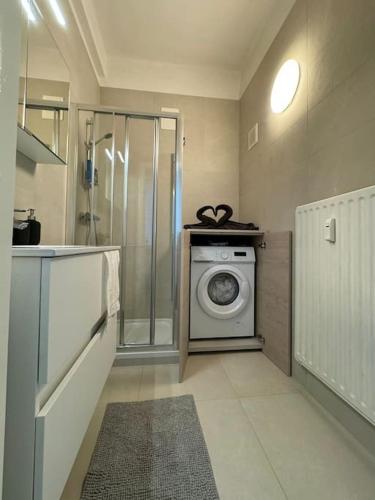 Appartement avec jardin et jacuzzi - Koekelberg, Brusel (fotografie 5)