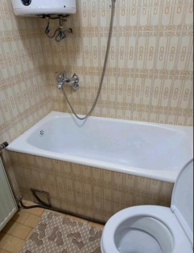 Jelena in Nova Varoš