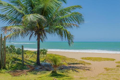 IT84 Maravilhoso Apartamento 4 Suítes, Pé Na Areia - Itacimirim