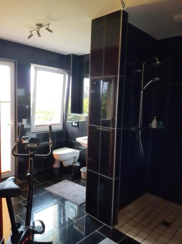 Fürdőszoba, Über den Dächern von Flensburg (Uber den Dachern von Flensburg) in Fruerlund