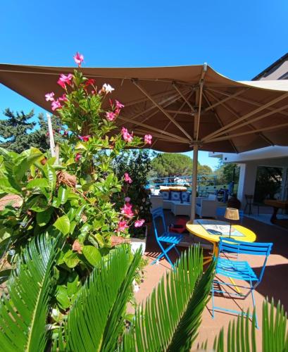 B&B Terramare, Montiano