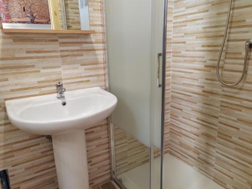 One-Bedroom Apartment image 8
