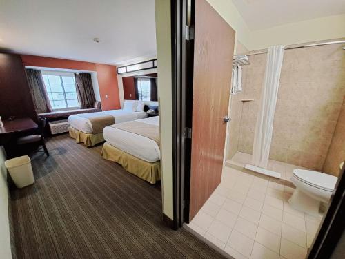 托盧卡麥克羅特套房酒店 (Microtel Inn & Suites by Wyndham Toluca) in 托盧卡