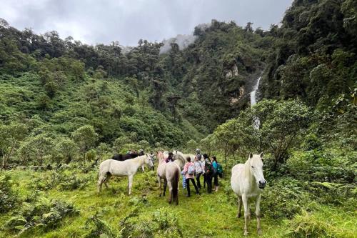 Surrounding environment, Casa de Campo Papallacta en Reserva Natural Privada in Papallacta
