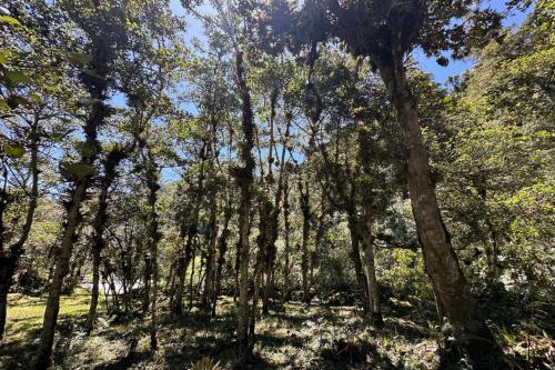 Surrounding environment, Casa de Campo Papallacta en Reserva Natural Privada in Papallacta