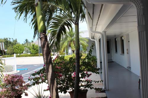 Economy Inn - image 2
