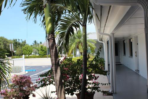 Economy Inn