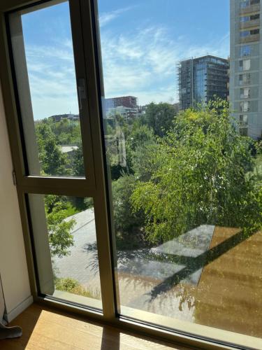 Herăstrău Park apartment