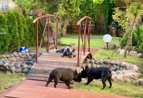 Kapitańska Przystań (Kapitanska Przystan) in 舒洛比