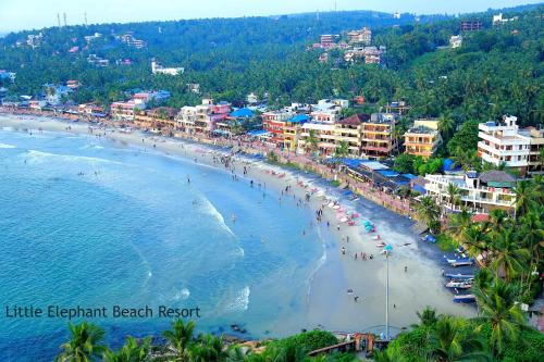 Little Elephant Beach Resort Kovalam Photo Al