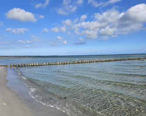 De Strandlöper 02 De Strandlöper 02