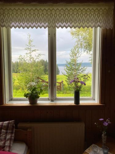 Umgebung, Lapplands lilla Gästhuset med båtuthyrning - Lapplands kleines Gästehaus mit Bootsverleih (Lapplands lilla Gasthuset med batuthyrning - Lapplands kleines Gastehaus mit Bootsverleih) near Flughafen Vilhelmina